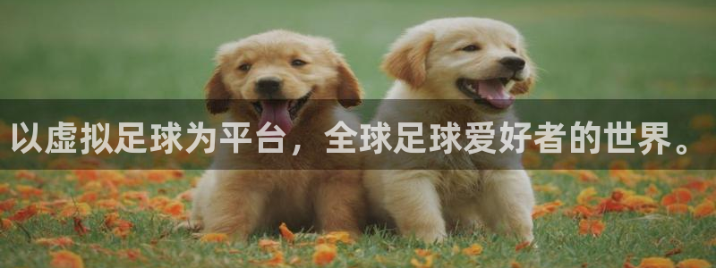 168全国统一开奖网址下载：以虚拟足球为平台，全球足球爱好者的世界。