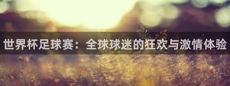 168全国统一开奖网址：世界杯足球赛：全球球迷的狂欢与激情体验