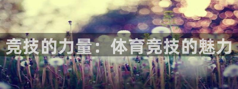 168全国开奖官网：竞技的力量：体育竞技的魅力