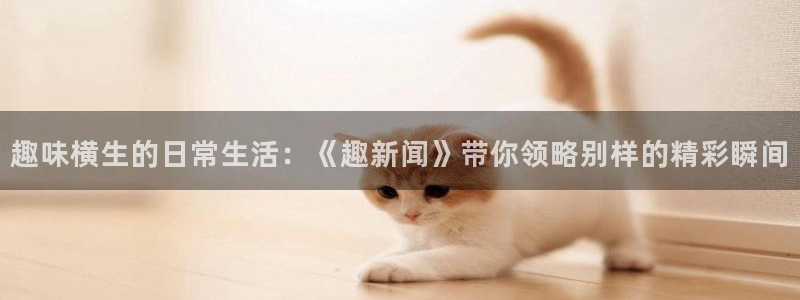 168全国统一开奖网app：趣味横生的日常生活：《趣新闻》带你领略别样的精彩瞬间