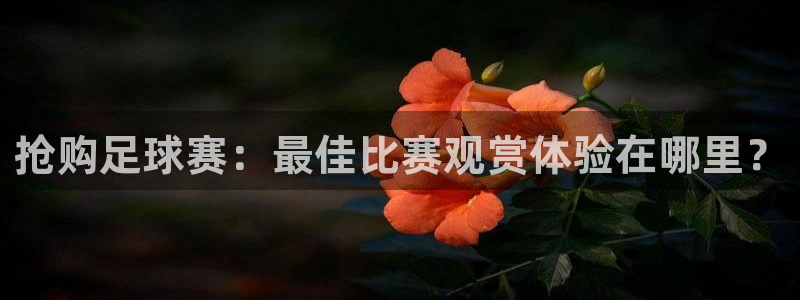 168全国开奖网链接：抢购足球赛：最佳比赛观赏体验在哪里？