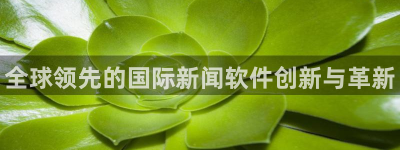 168全国统一开奖官网直播：全球领先的国际新闻软件创新与革新