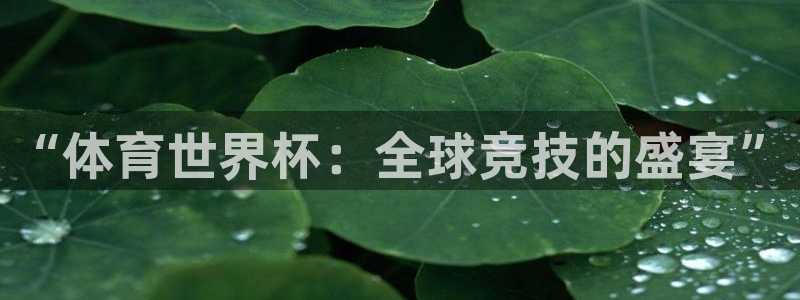 168全国开奖网地址：“体育世界杯：全球竞技的盛宴”